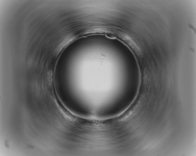 X0000095961233200801111355