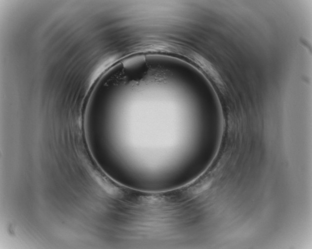 X0000095961234200801111355