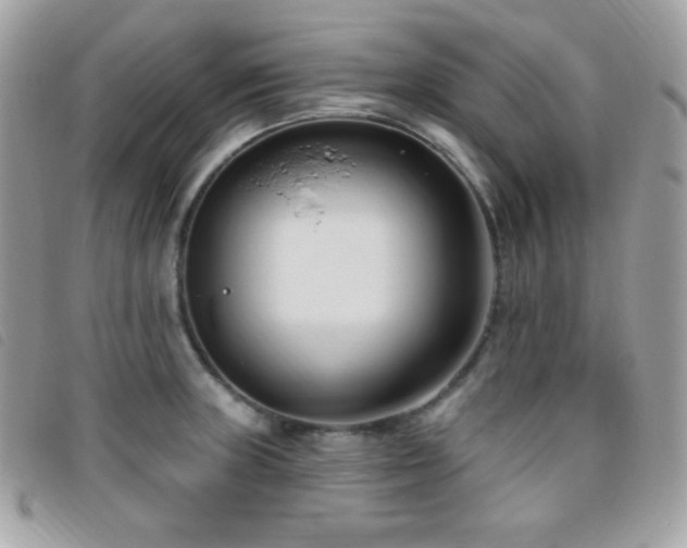 X0000095961235200801111355