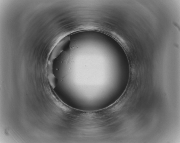 X0000095961236200801111355