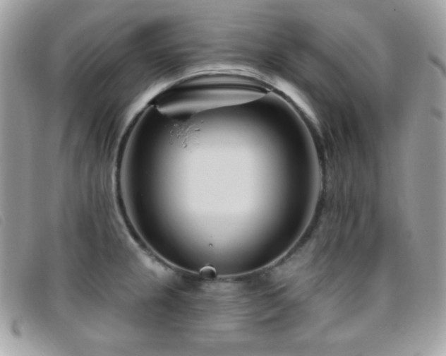 X0000095961237200801111355