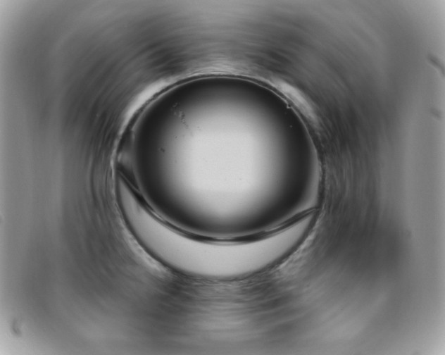 X0000095961238200801111355