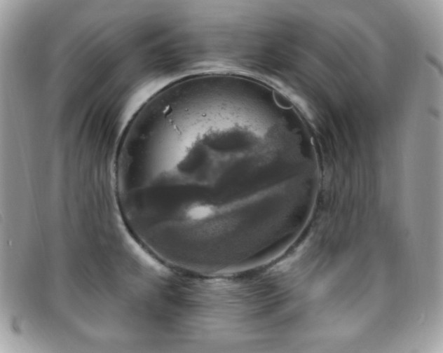 X0000095961239200801111355