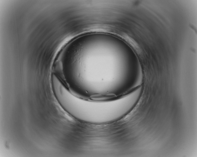 X0000095961240200801111355