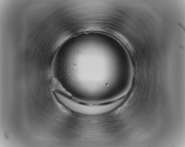 X0000095961241200801111355