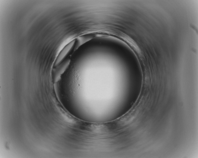X0000095961242200801111355