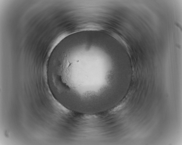 X0000095961243200801111355