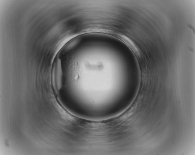 X0000095961244200801111355