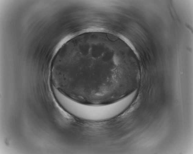 X0000095961245200801111355