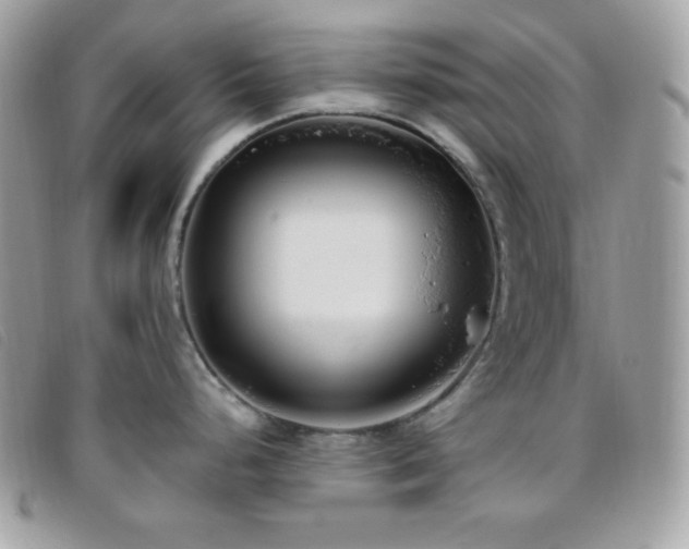 X0000095961248200801111355