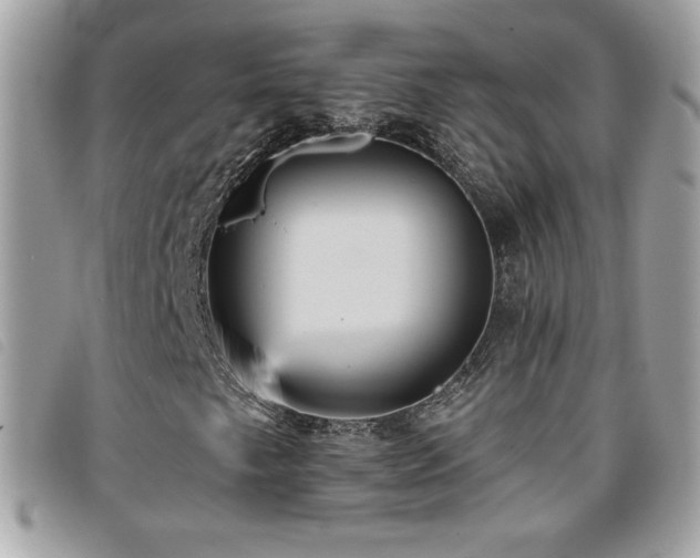 X0000095961249200801111354