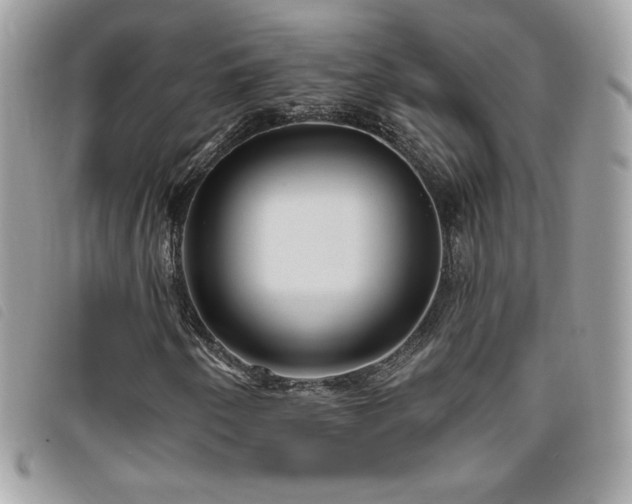 X0000095961250200801111354