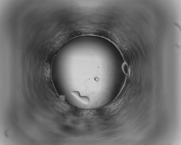 X0000095961251200801111354