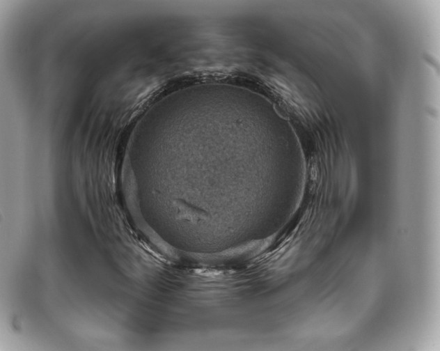 X0000095961252200801111354