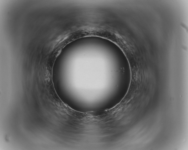 X0000095961253200801111354