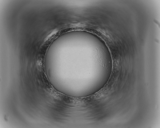 X0000095961254200801111354