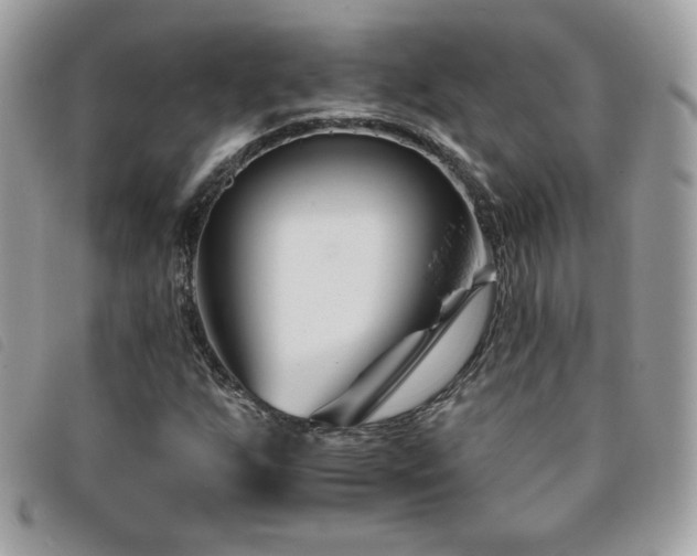 X0000095961255200801111354