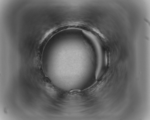 X0000095961256200801111354