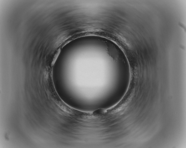 X0000095961257200801111354