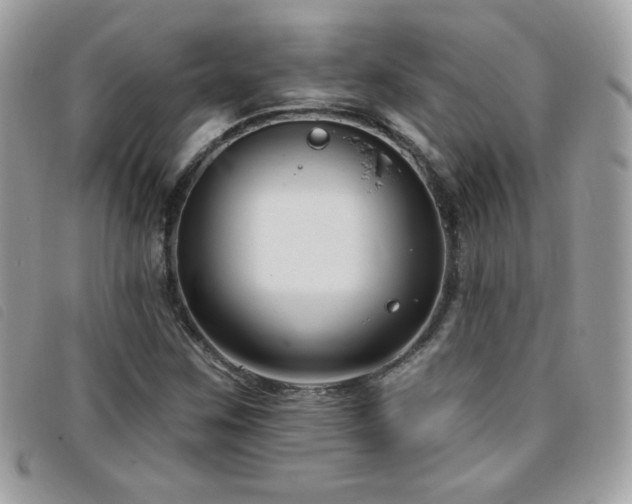 X0000095961259200801111354