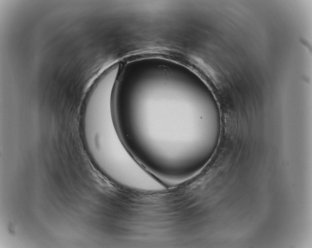 X0000095961260200801111354