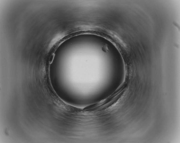 X0000095961261200801111354
