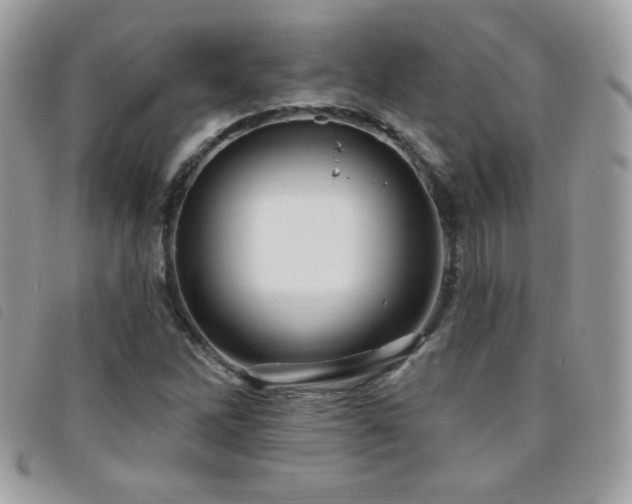 X0000095961262200801111354