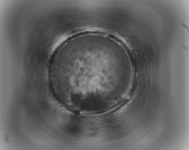 X0000095961263200801111354