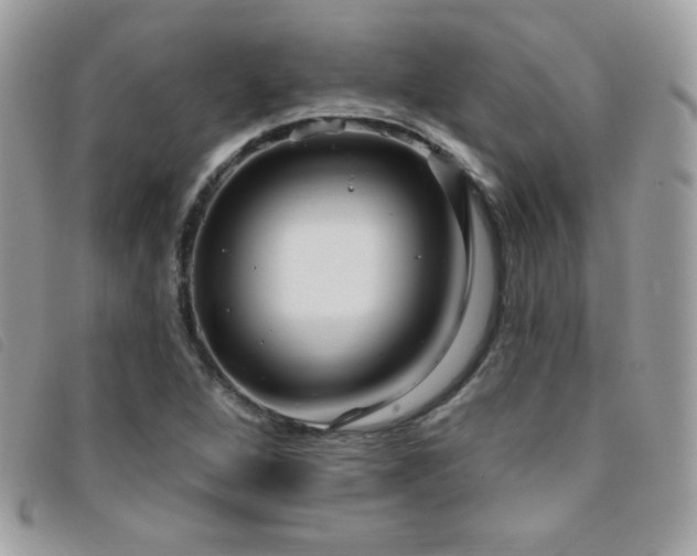 X0000095961264200801111354