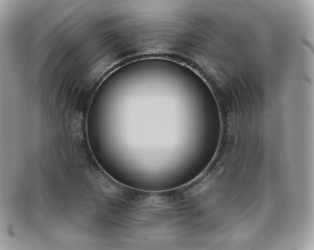 X0000095961265200801111354