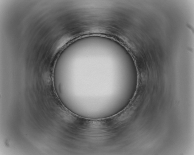 X0000095961266200801111354