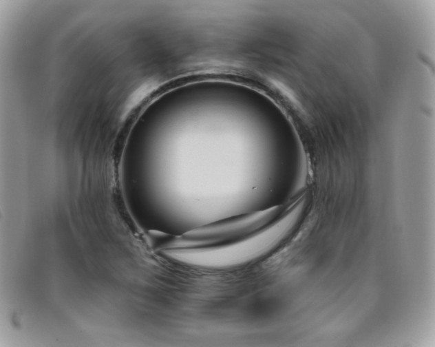 X0000095961267200801111354