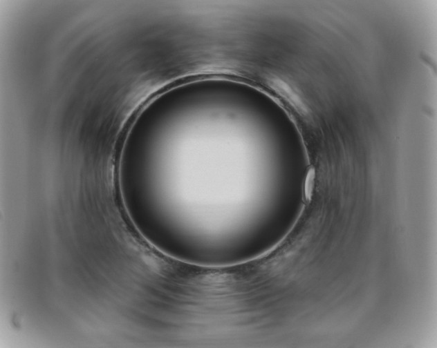 X0000095961268200801111354