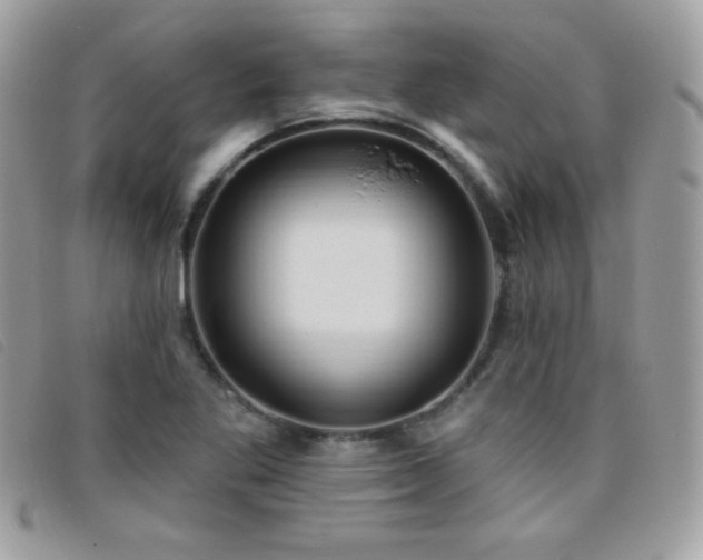 X0000095961269200801111354
