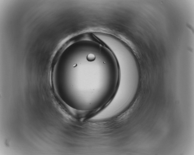 X0000095961272200801111354