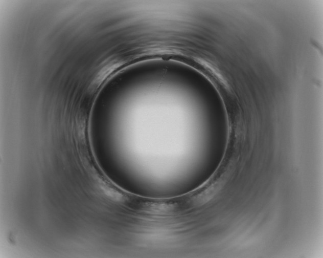 X0000095961273200801111354