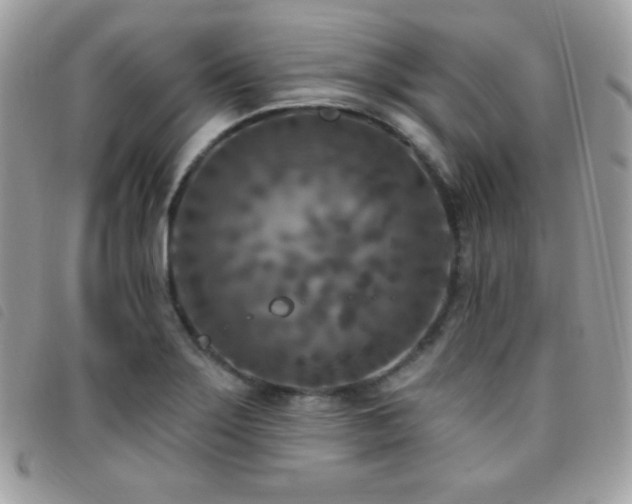 X0000095961275200801111354