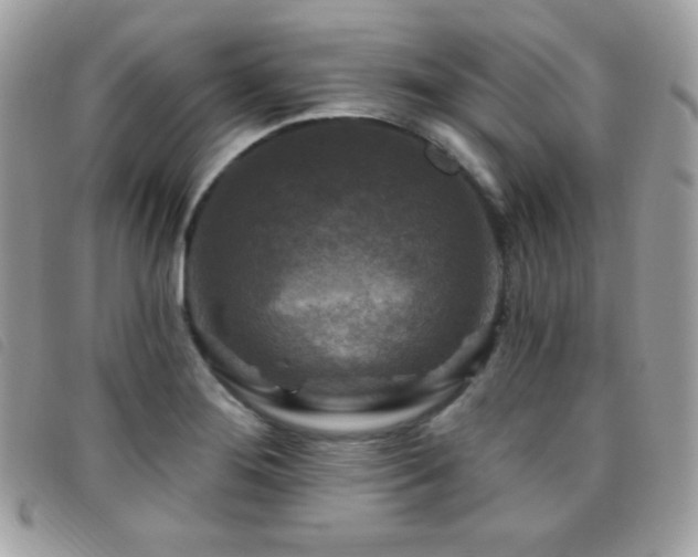 X0000095961276200801111354