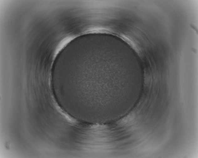 X0000095961277200801111354