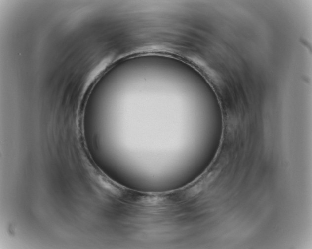 X0000095961278200801111354