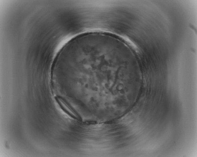 X0000095961279200801111354