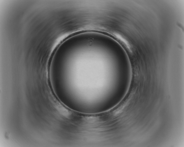 X0000095961280200801111354