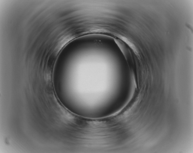 X0000095961281200801111354