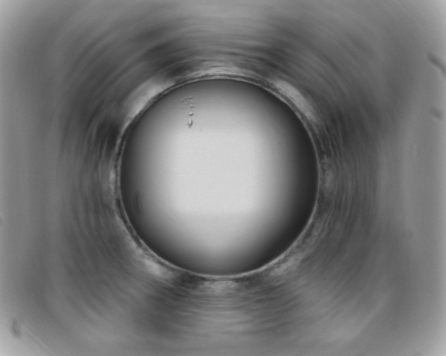 X0000095961282200801111354