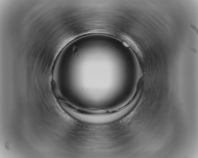 X0000095961284200801111354