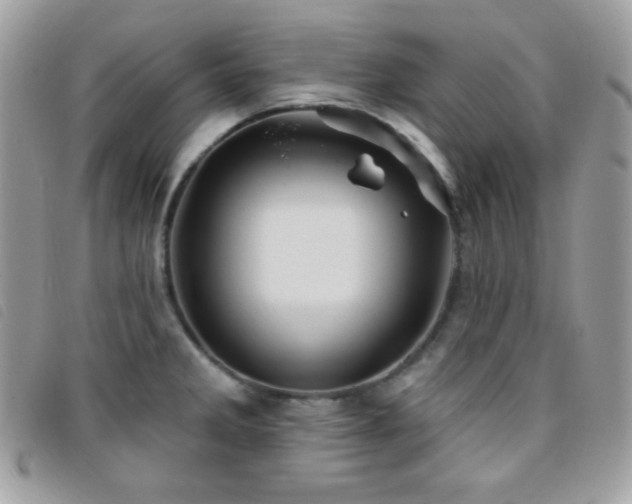 X0000095961285200801111354
