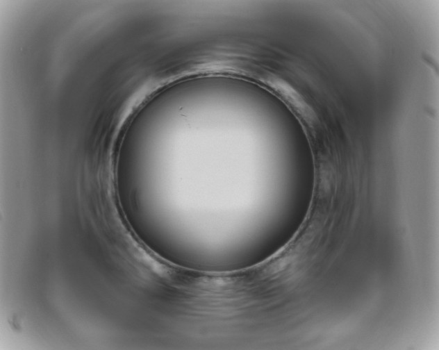 X0000095961286200801111354