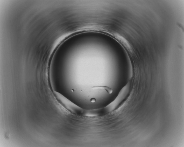 X0000095961288200801111354