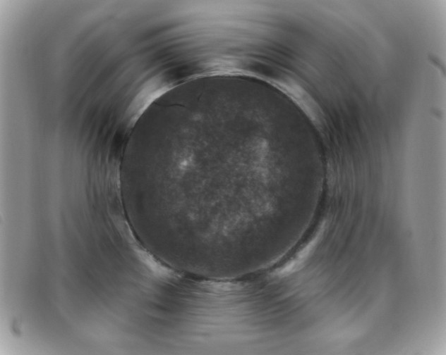 X0000095961289200801111354
