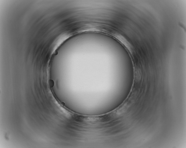X0000095961290200801111354